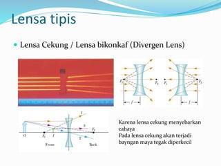 Lensa tipis
 Lensa Cekung / Lensa bikonkaf (Divergen Lens)
Karena lensa cekung menyebarkan
cahaya
Pada lensa cekung akan terjadi
bayngan maya tegak diperkecil
 