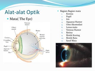 Alat-alat Optik
 Mata( The Eye)
 Bagian-Bagian mata
1. Kornea
2. Pupil
3. Iris
4. Aquaeus Humor
5. Otot Akomodasi
6. Lensa mata
7. Vetreus Humor
8. Retina
9. Bintik Kuning
10. Bintik Buta
11. Saraf Mata
 