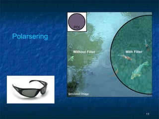 Polarsering




              11
 