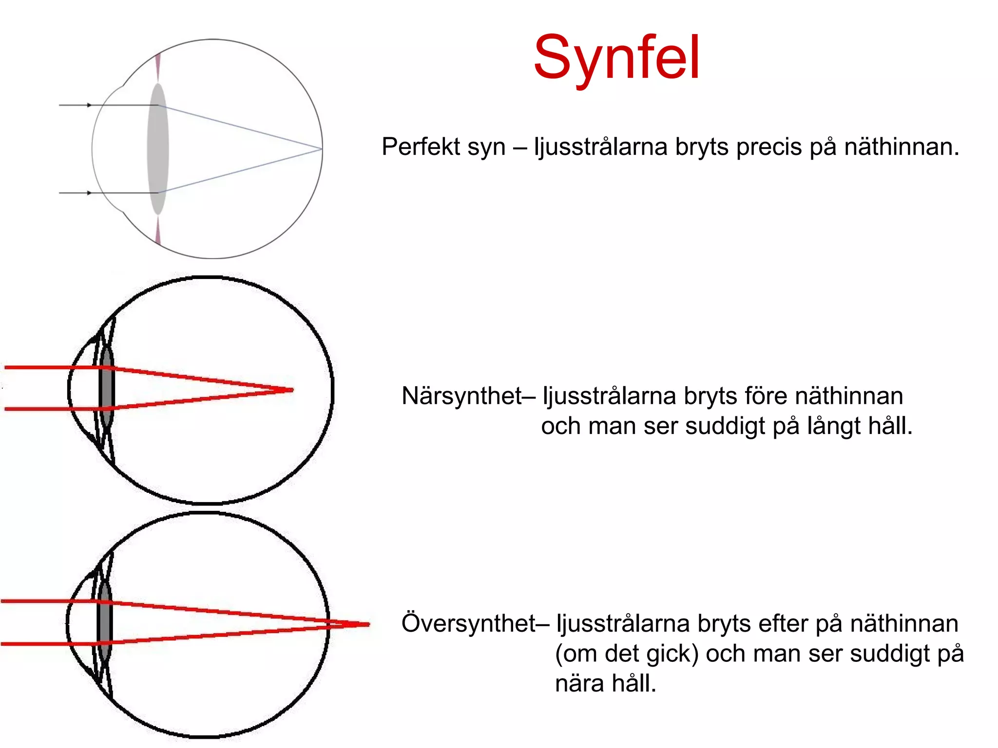 Optik ögat pp | PPT