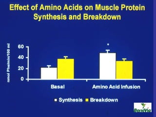 Optimal Protein Intake & The Recommended Daily Allowance (RDA) | PPSX