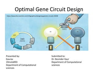 Optimal Gene Circuit Design
Presented by:
Gaurav
19mslsbf03
Department of Computational
sciences
Submitted to:
Dr. Devinder Kaur
Department of Computational
sciences
https://www.the-scientist.com/infographics/designing-genetic-circuits-41838
 