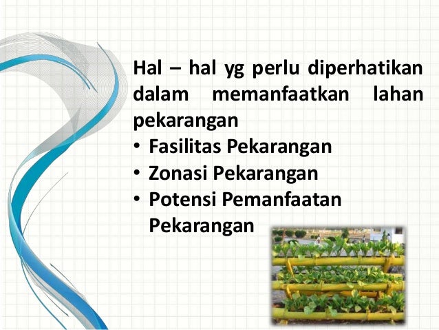 Optimalisasi pemanfaatan lahan pekarangan