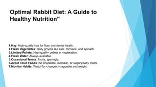 Optimal Rabbit Diet: A Guide to
Healthy Nutrition"
1.Hay: High-quality hay for fiber and dental health.
2.Fresh Vegetables: Daily greens like kale, romaine, and spinach.
3.Limited Pellets: High-quality pellets in moderation.
4.Fresh Water: Always available.
5.Occasional Treats: Fruits, sparingly.
6.Avoid Toxic Foods: No chocolate, avocado, or sugary/salty foods.
7.Monitor Habits: Watch for changes in appetite and weight.
 