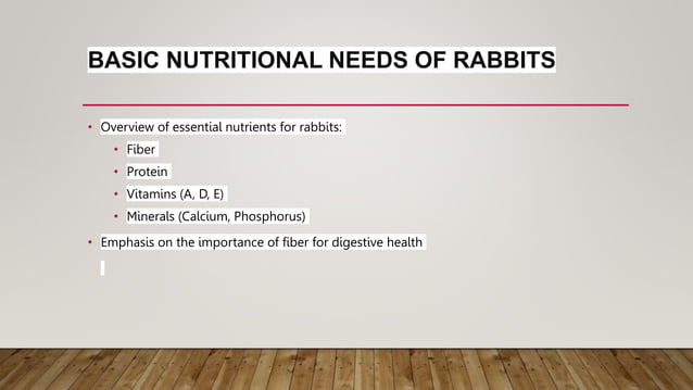 Optimal Rabbit Diet. what bunnie can eat | PPT