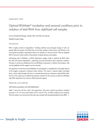 Sample to Insight
Application Note
Optimal RNAlater®
incubation and removal conditions prior to
isolation of total RNA from stabilized cell samples
Ivonne Schröder-Stumberger, Izabela Safin and Peter Porschewski
QIAGEN GmbH Hilden
Introduction
RNA is highly sensitive to degradation. Handling methods and prolonged storage of cells can
greatly affect the quality of the RNA that can be later isolated. Contamination with RNases is the
most significant problem, especially as they are so ubiquitous in the environment. They can degrade
RNA to the point where results of downstream analyses become meaningless.
Submerging cells in RNAlater, an RNA stabilization reagent, helps to stabilize the RNA within
the cells and prevent degradation, supporting accurate downstream gene expression analyses.
However, to avoid any interference from any RNAlater components in isolation and analyses, cells
must be pelleted and the reagent must be removed.
The separation of cells from excess RNAlater via centrifugation is impeded due to the higher density
of the reagent compared to standard culture medium. This means it requires higher centrifugal
forces, which might damage cells due to increased shearing forces, leading to reduced RNA yield.
The aim of this study was to establish the optimal conditions for the recovery of cells from RNAlater
after RNA stabilization for maximum RNA yield and integrity.
Materials and methods
Cell culture procedure and cell stabilization
Table 1 shows the cell lines used in the experiments. They were cultured according to standard
protocols in 75 cm2
tissue culture flasks at 37°C and 5% CO2
until 80% confluence was reached.
Then the medium was removed and the cells were washed with phosphate-buffered saline (PBS).
 