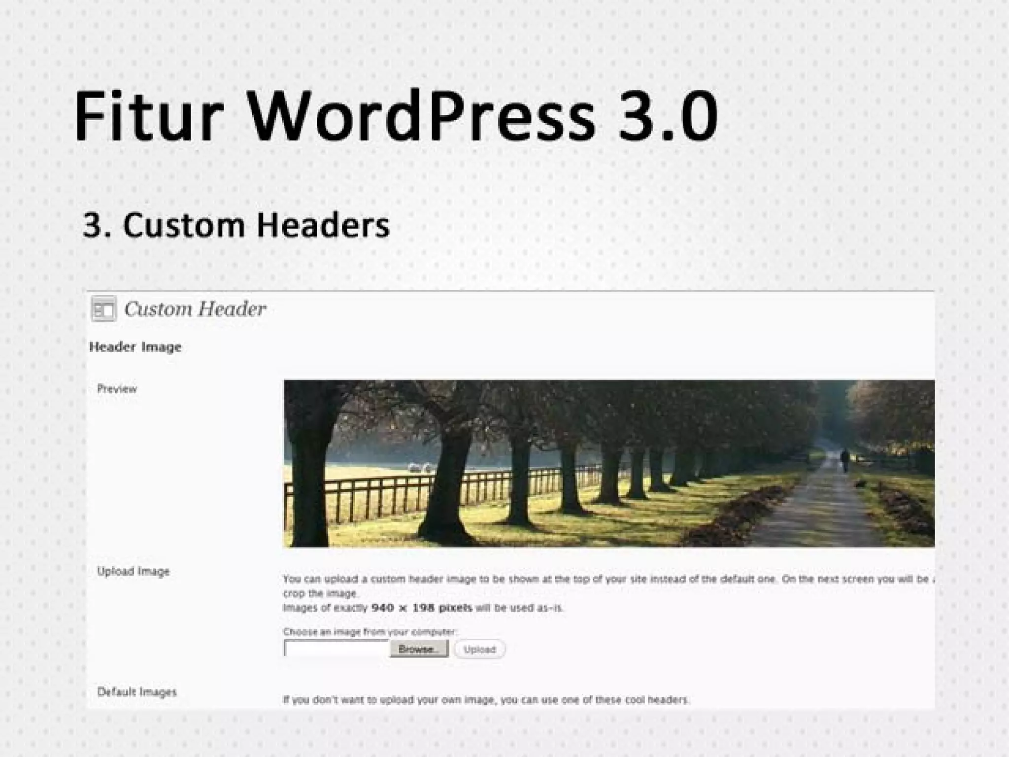 Optimasi WordPress - suwec