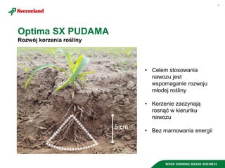 10
Rozwój korzenia rośliny
• Celem stosowania
nawozu jest
wspomaganie rozwoju
młodej rośliny
• Korzenie zaczynają
rosnąć w kierunku
nawozu
• Bez marnowania energii
Optima SX PUDAMA
 