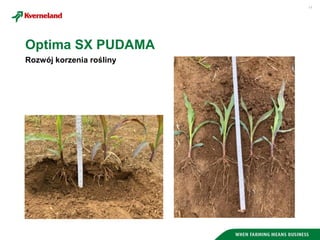 11
Rozwój korzenia rośliny
Optima SX PUDAMA
 