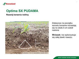 7
Rozwój korzenia rośliny
Zwłaszcza na początku
wzrostu korzenie rozrastają
się na około 5 cm wokół
nasiona
Wniosek: nie wykorzystuje
się całej dawki nawozu
Optima SX PUDAMA
 