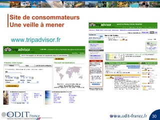 Site de consommateurs Une veille à mener www.tripadvisor.fr   