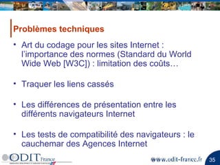 Art du codage pour les sites Internet : l’importance des normes (Standard du World Wide Web [W3C]) : limitation des coûts… Traquer les liens cassés Les différences de présentation entre les différents navigateurs Internet   Les tests de compatibilité des navigateurs : le cauchemar des Agences Internet Problèmes techniques 