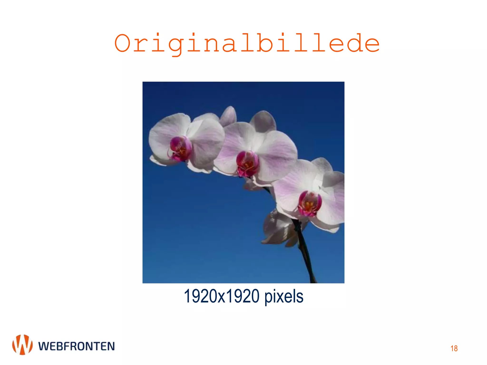 Originalbillede
1920x1920 pixels
18
 