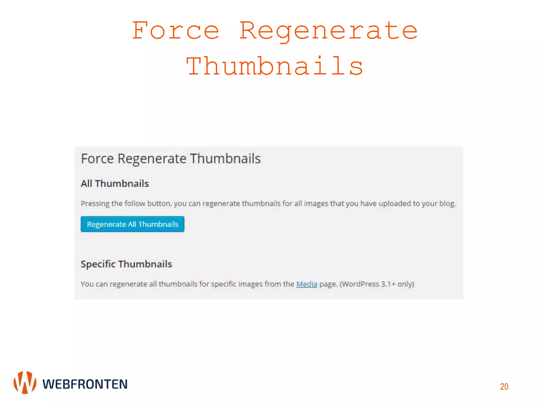 Force Regenerate
Thumbnails
20
 
