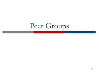 Peer Groups
11
 
