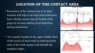 OPTIMISING TOOTH FORM WITH DIRECT POSTERIOR COMPOSITE RESTORATION.pptx