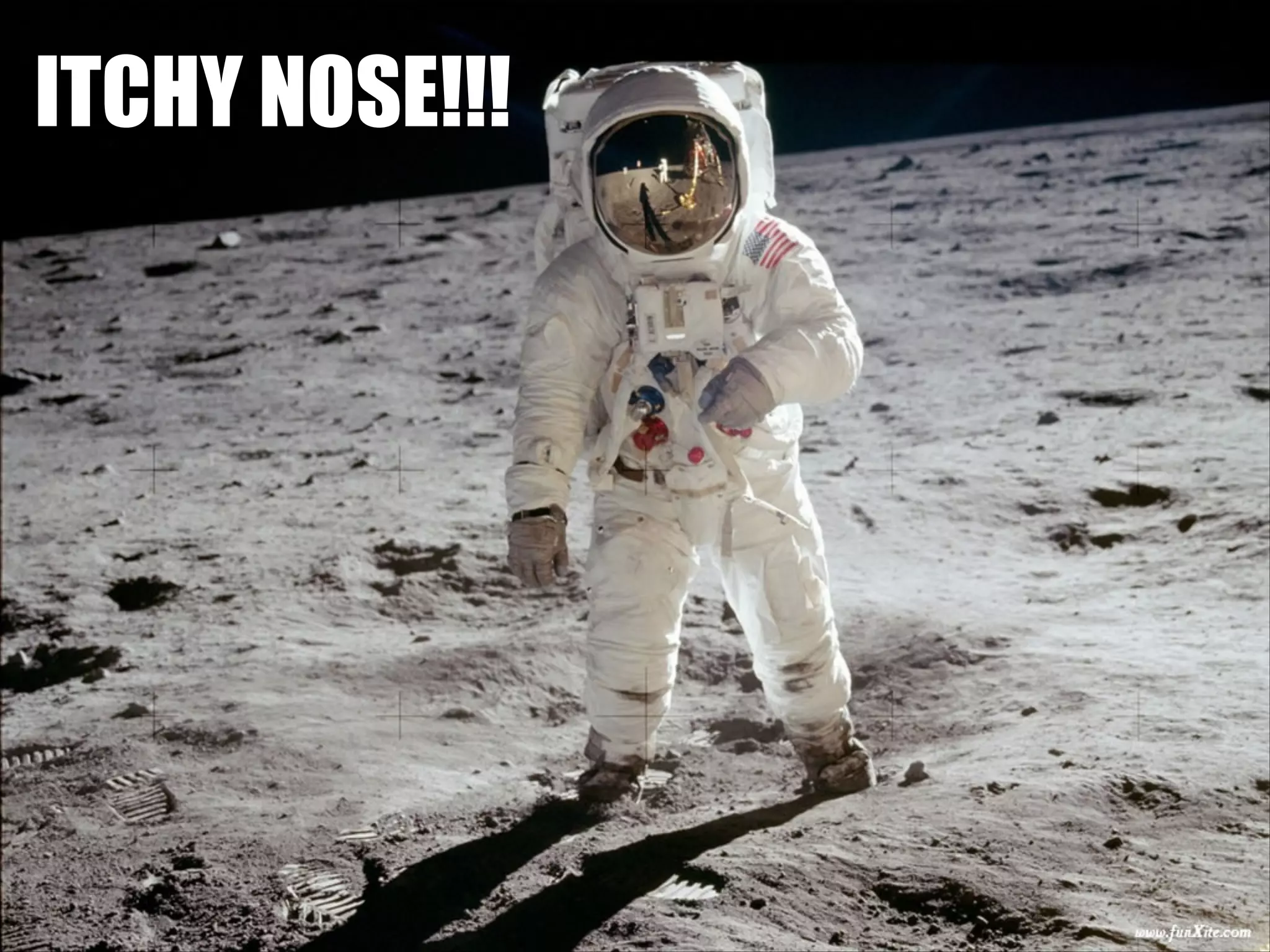 ITCHY NOSE!!! 
