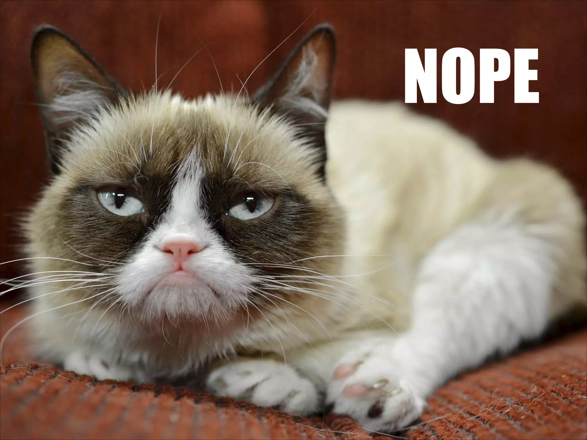 NOPE 