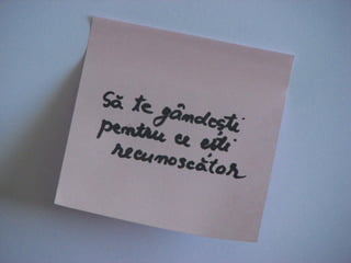 Kit Instant de Optimism