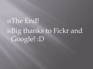  The  End!
 Big thanks to Fickr and
  Google! :D
 