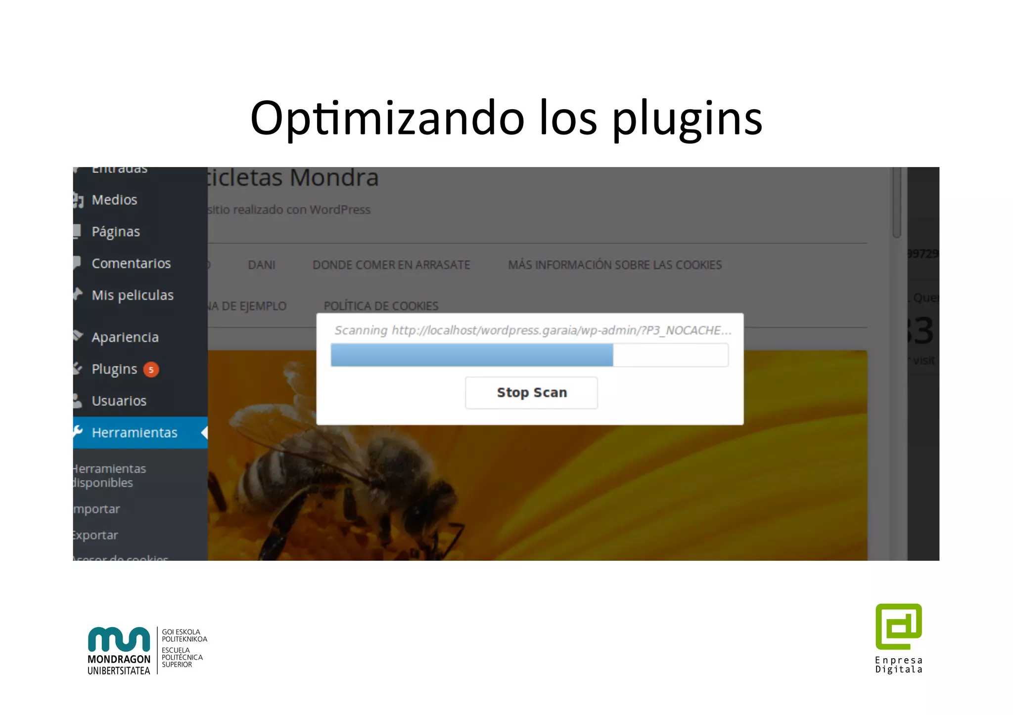 Op7mizando	los	plugins	
 