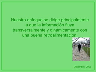Nuestro enfoque se dirige principalmente a que la información fluya transversalmente y dinámicamente con una buena retroalimentación. Diciembre, 2006 