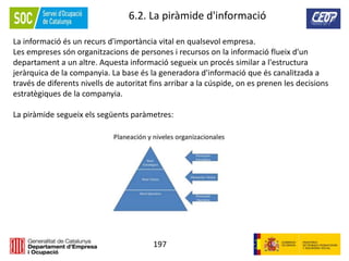 197
6.2. La piràmide d'informació
La informació és un recurs d'importància vital en qualsevol empresa.
Les empreses són organitzacions de persones i recursos on la informació flueix d'un
departament a un altre. Aquesta informació segueix un procés similar a l'estructura
jeràrquica de la companyia. La base és la generadora d'informació que és canalitzada a
través de diferents nivells de autoritat fins arribar a la cúspide, on es prenen les decisions
estratègiques de la companyia.
La piràmide segueix els següents paràmetres:
 