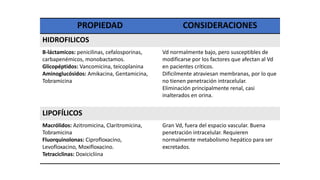 PROPIEDAD CONSIDERACIONES
HIDROFILICOS
B-láctamicos: penicilinas, cefalosporinas,
carbapenémicos, monobactamos.
Glicopéptidos: Vancomicina, teicoplanina
Aminoglucósidos: Amikacina, Gentamicina,
Tobramicina
Vd normalmente bajo, pero susceptibles de
modificarse por los factores que afectan al Vd
en pacientes críticos.
Dificilmente atraviesan membranas, por lo que
no tienen penetración intracelular.
Eliminación principalmente renal, casi
inalterados en orina.
LIPOFÍLICOS
Macrólidos: Azitromicina, Claritromicina,
Tobramicina
Fluorquinolonas: Ciprofloxacino,
Levofloxacino, Moxifloxacino.
Tetraciclinas: Doxicicliina
Gran Vd, fuera del espacio vascular. Buena
penetración intracelular. Requieren
normalmente metabolismo hepático para ser
excretados.
 