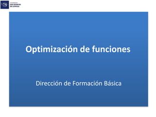 Optimización de funciones 
Dirección de Formación Básica 
 