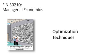 FIN 30210:
Managerial Economics
Optimization
Techniques
 