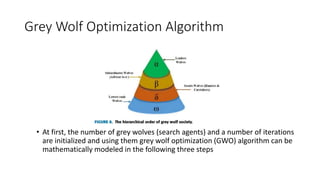 Grey Wolf Optimization Algorithm
• At first, the number of grey wolves (search agents) and a number of iterations
are initialized and using them grey wolf optimization (GWO) algorithm can be
mathematically modeled in the following three steps
 