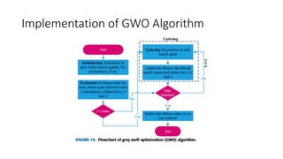 Implementation of GWO Algorithm
 