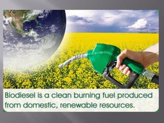 Optimization of biodiesel