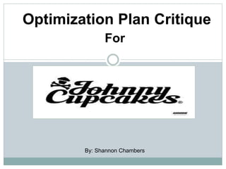 Optimization Plan Critique
For
By: Shannon Chambers
 