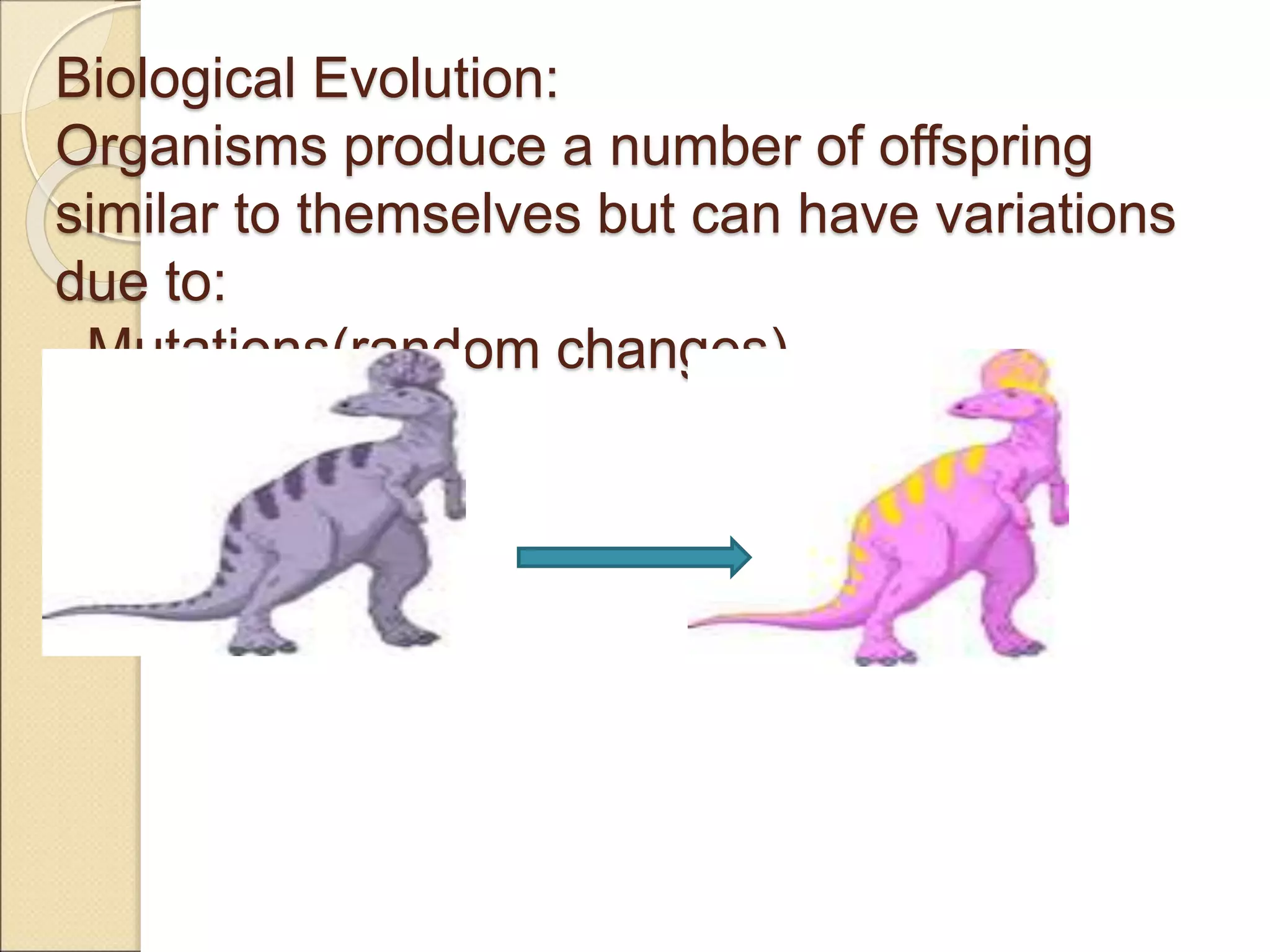 Biological Evolution:
Organisms produce a number of offspring
similar to themselves but can have variations
due to:
–Mutations(random changes)
 