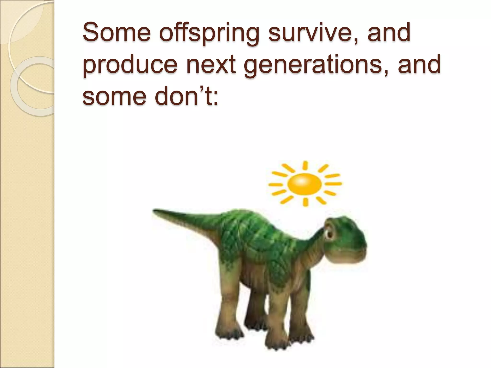 Some offspring survive, and
produce next generations, and
some don’t:
 