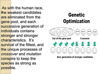 -
As with the human race,
the weakest candidates
are eliminated from the
gene pool, and each
successive generation of
individuals contains
stronger and stronger
characteristics. It’s
survival of the fittest, and
the unique processes of
crossover and mutation
conspire to keep the
species as strong as
possible.
 