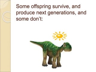 Some offspring survive, and
produce next generations, and
some don’t:
 