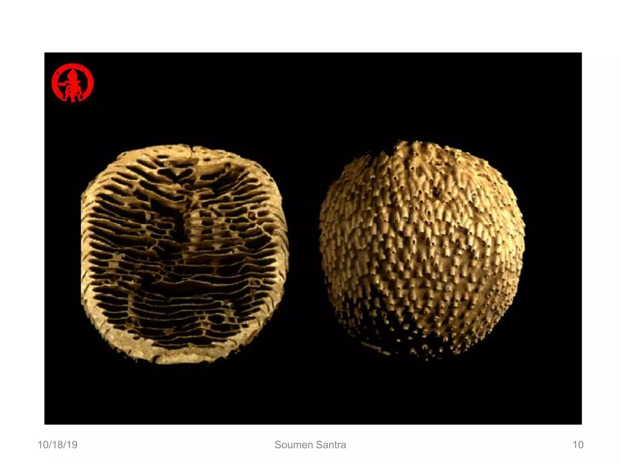 09/29/19 10
10/18/19 Soumen Santra 10
 