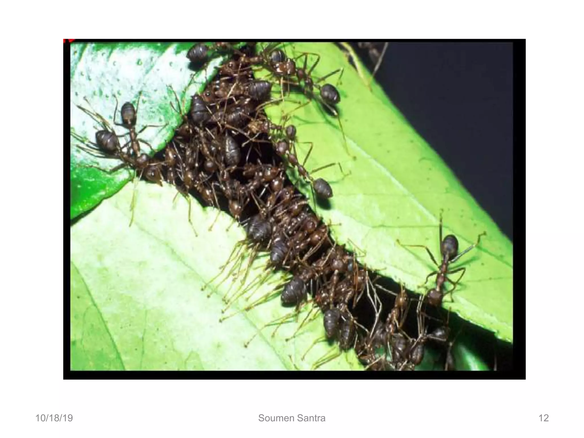 12
10/18/19 Soumen Santra 12
 