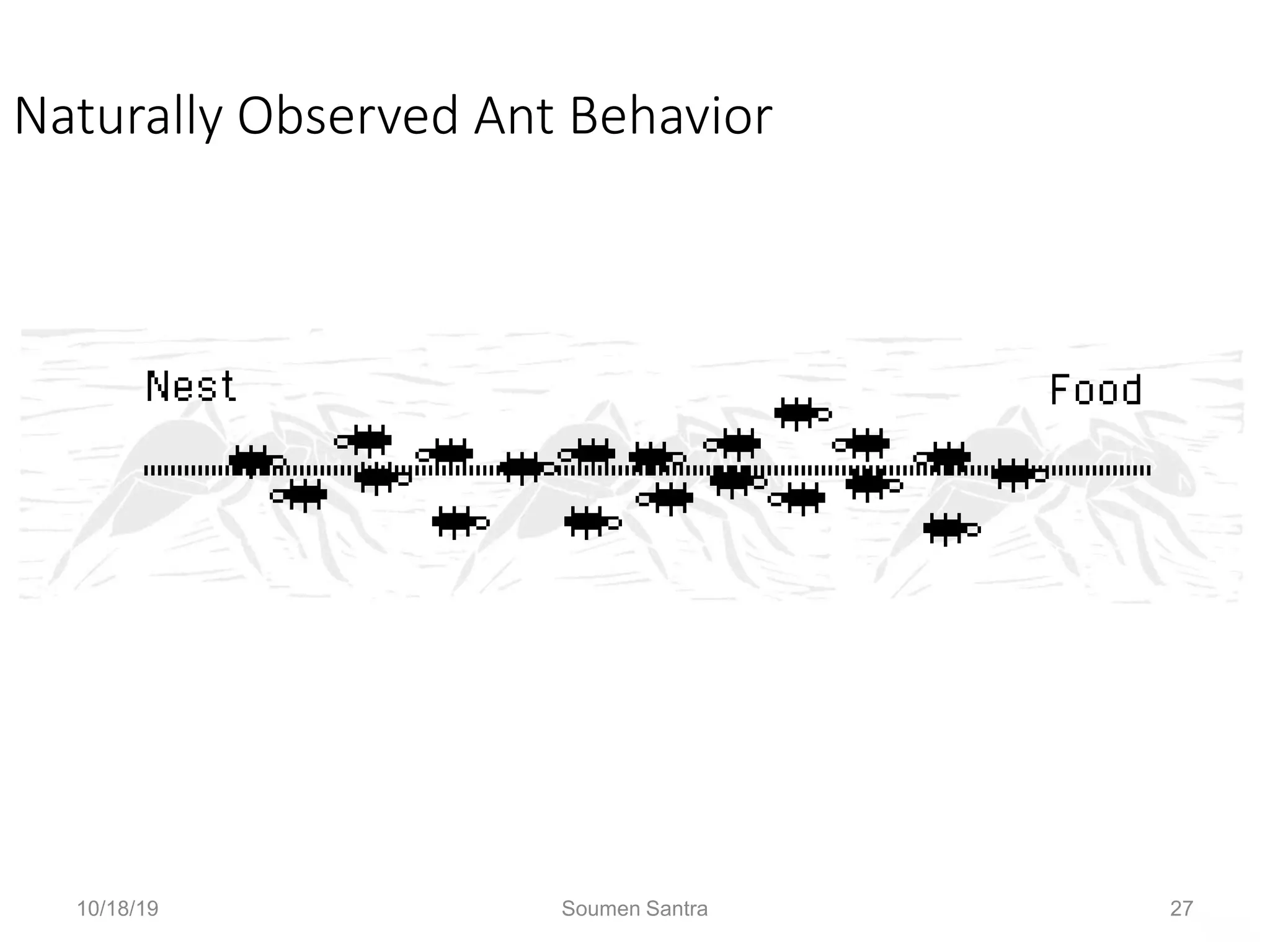 Ant Colony Optimization (ACO)
Naturally Observed Ant Behavior
All is well in the world of the ant.
10/18/19 Soumen Santra 27
 