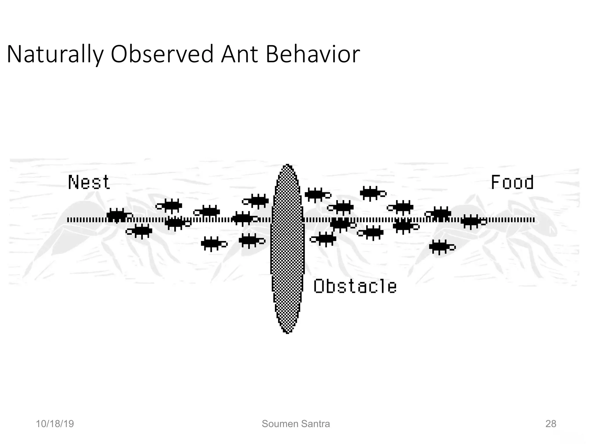 Ant Colony Optimization (ACO)
Naturally Observed Ant Behavior
Oh no! An obstacle has blocked our path!
10/18/19 Soumen Santra 28
 
