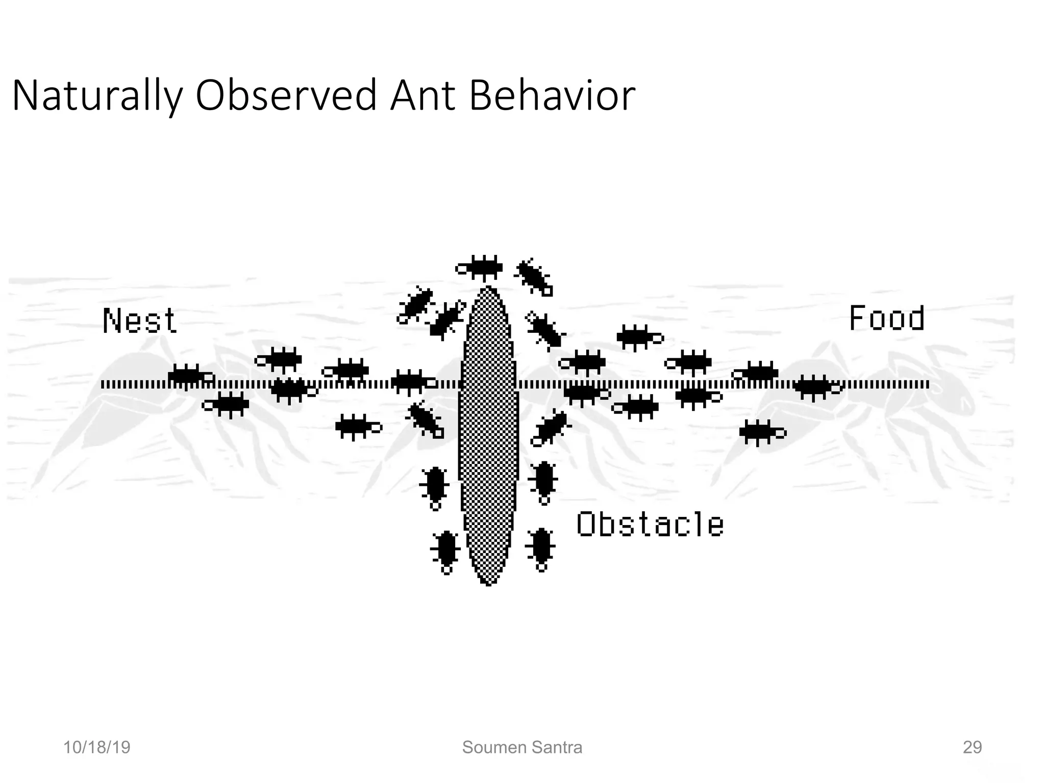 Naturally Observed Ant Behavior
Where do we go? Everybody, flip a coin.
10/18/19 Soumen Santra 29
 