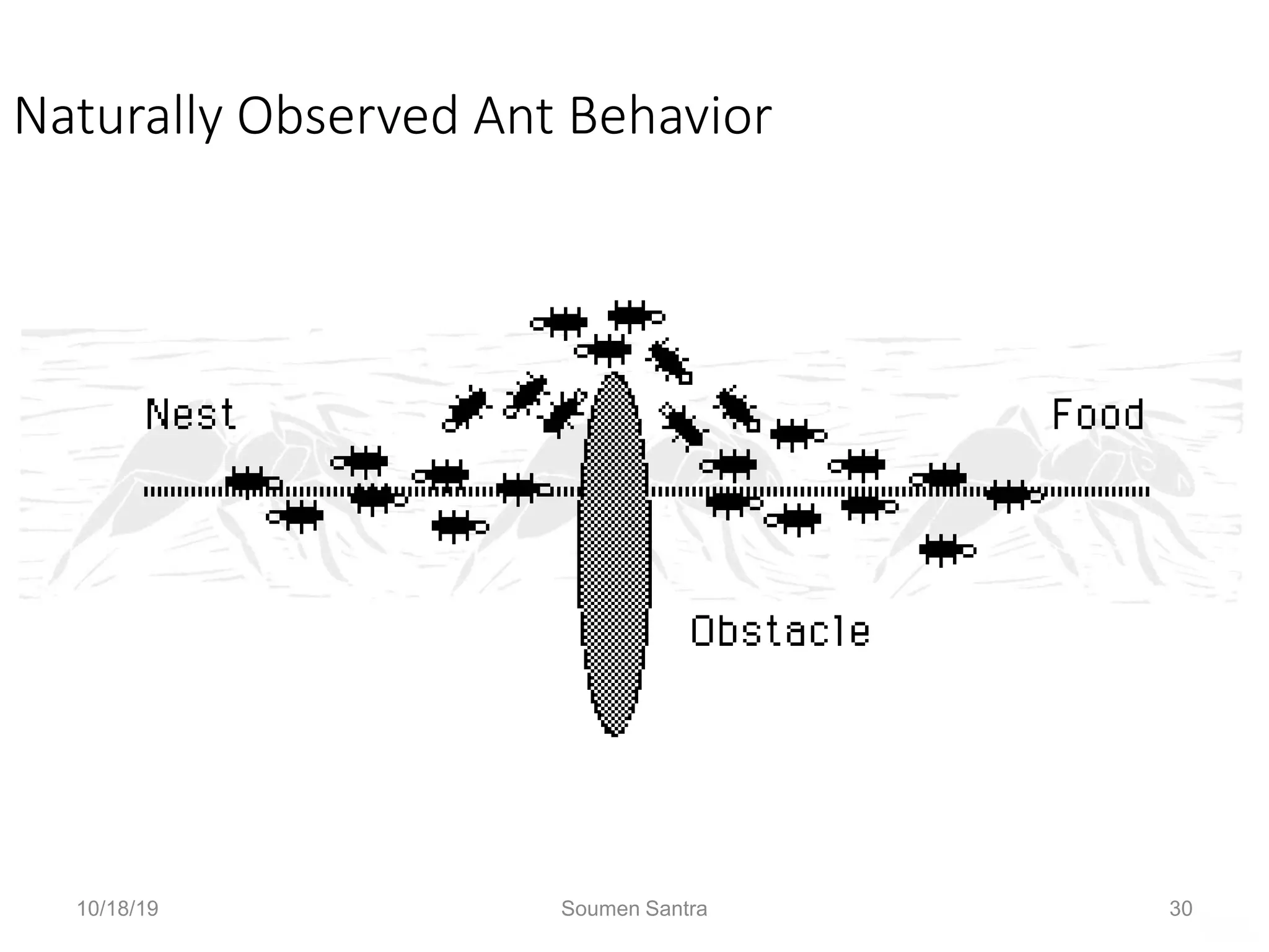 Ant Colony Optimization (ACO)
Naturally Observed Ant Behavior
Shorter path reinforced.
10/18/19 Soumen Santra 30
 