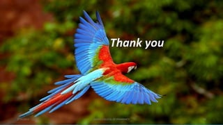 3/19/2015 GRACE COLLEGE OF PHARMACY 33
Thank you
 