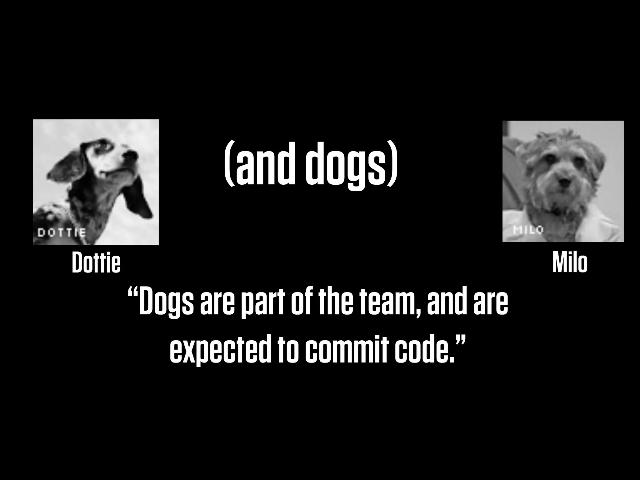 (and dogs)
Dottie                                         Milo
         “Dogs are part of the team, and are
            expected to commit code.”
 
