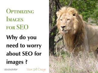 Why do you
need to worry
about SEO for
images ?
Optimizing
Images
for SEO
Vision DesignShift@lesliestaller
 