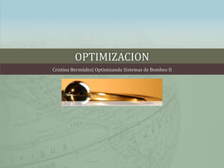 OPTIMIZACION
Cristina Bermúdez| Optimizando Sistemas de Bombeo II
 
