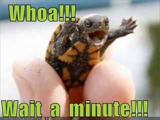 Wait a minute…
this all seems a little ﬁshy.
 