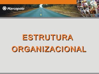 ESTRUTURAESTRUTURA
ORGANIZACIONALORGANIZACIONAL
 